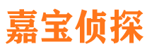 陵县市侦探调查公司